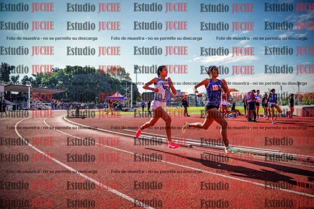 Fotos de los 800 m llanos de mujeres
