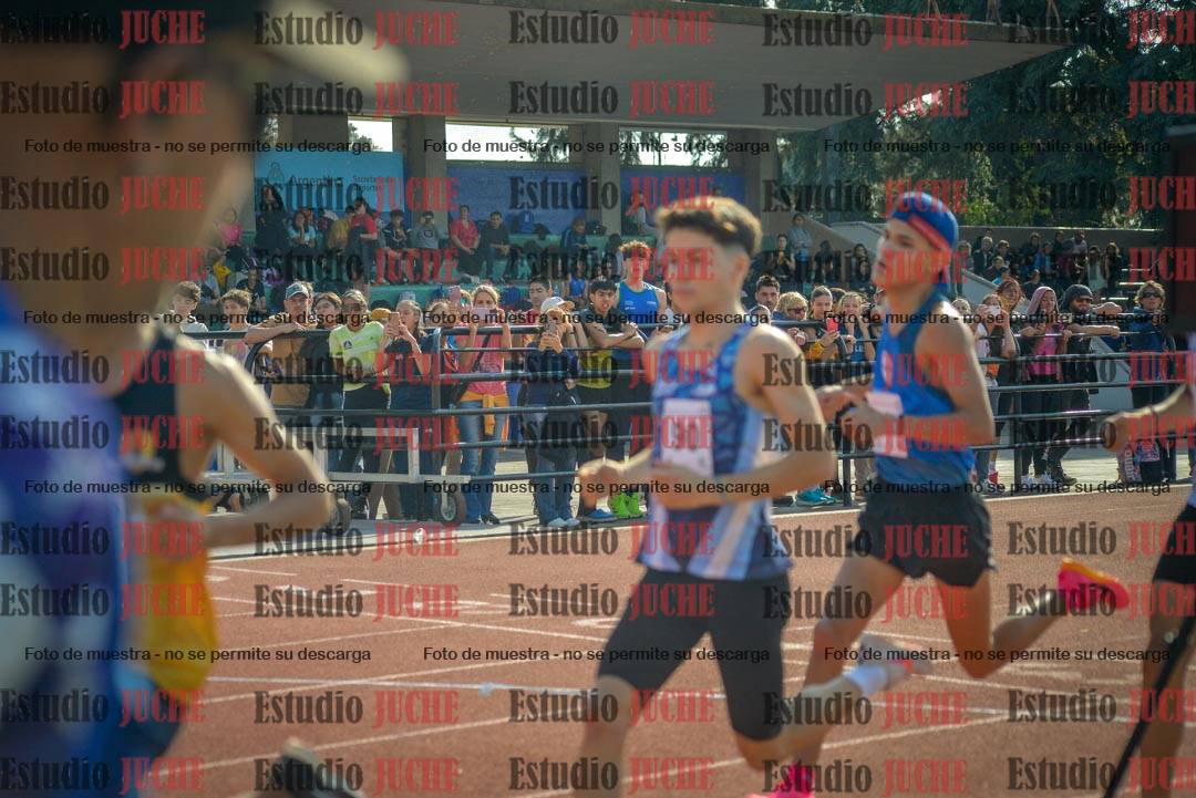 Fotos de los 800 m llanos de varones