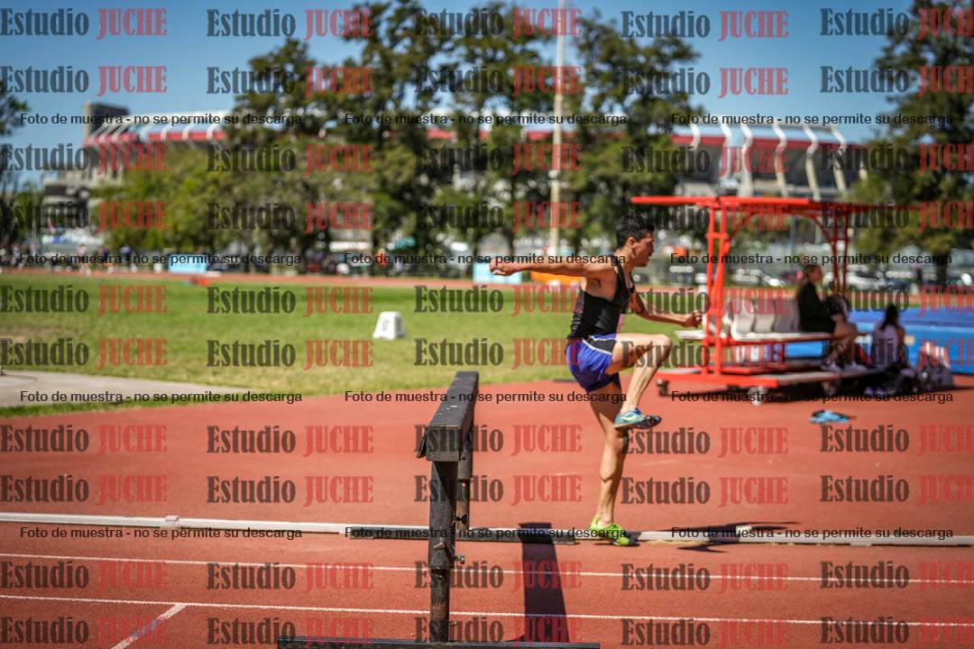 Fotos de los 3000 m con obstáculos de varones
