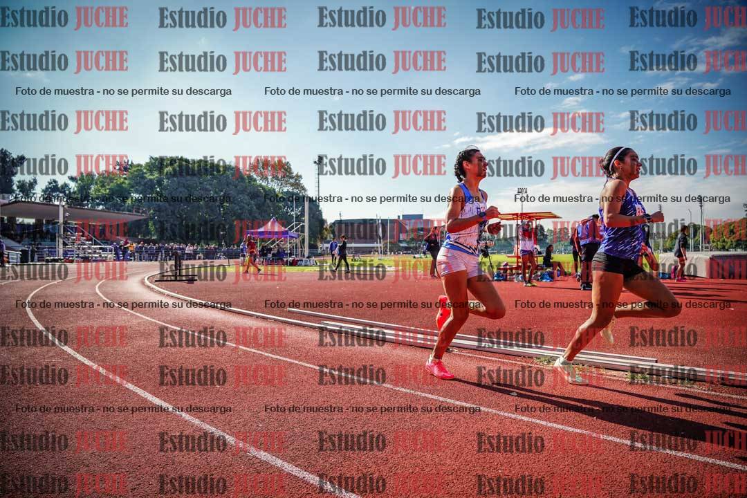 Fotos de los 800 m llanos de mujeres