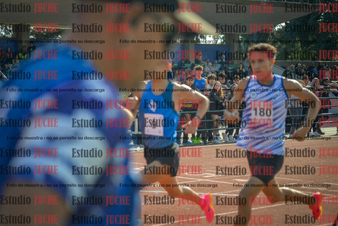 Fotos de los 800 m llanos de varones