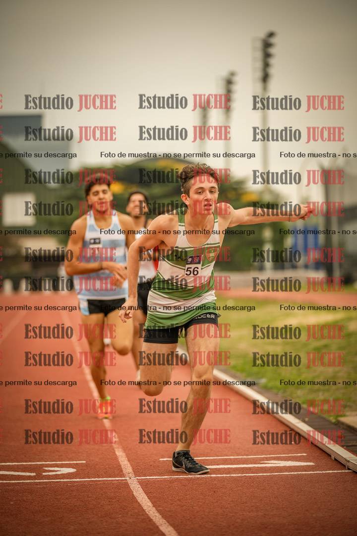 Fotos de los 800 m llanos de varones