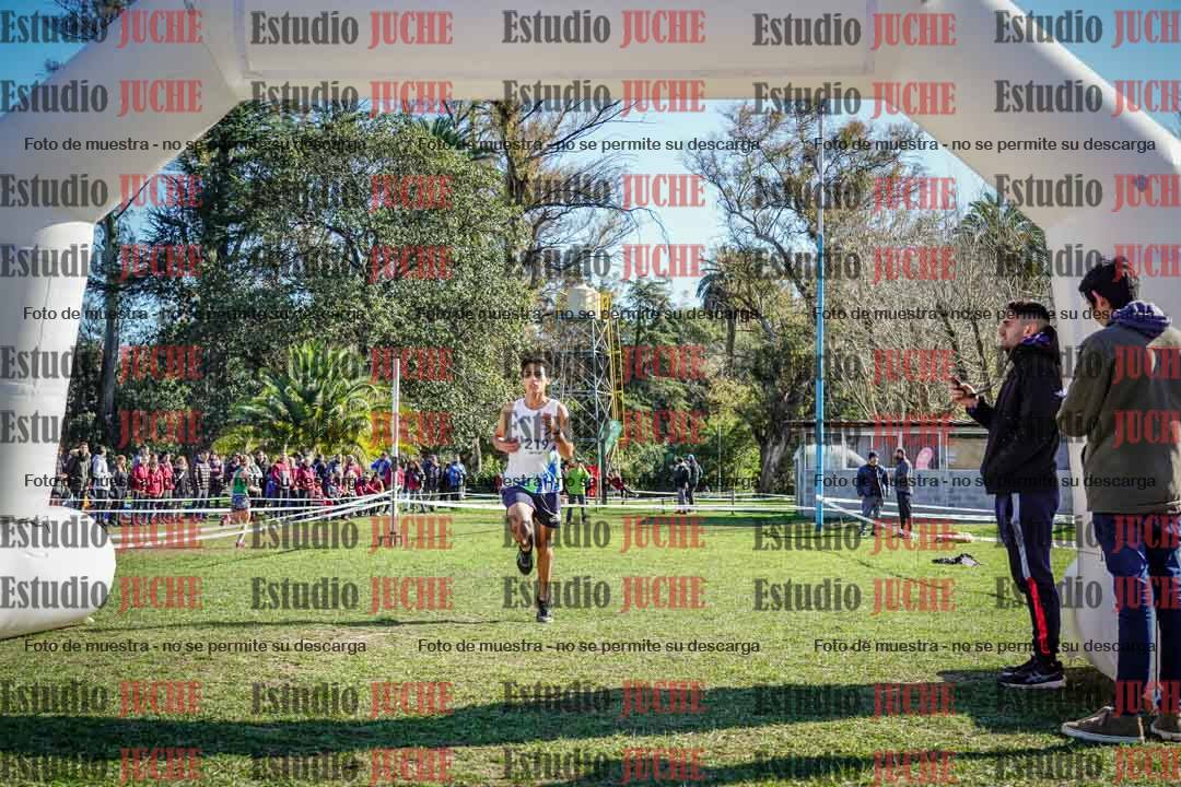 Fotos de la llegada del cross de 6000 m