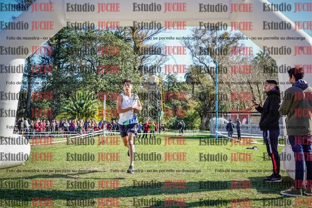 Fotos de la llegada del cross de 6000 m