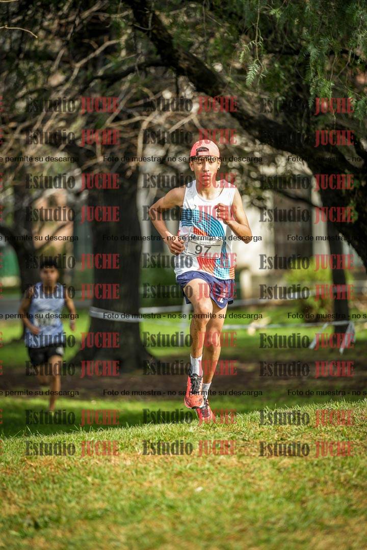 Fotos en el circuito