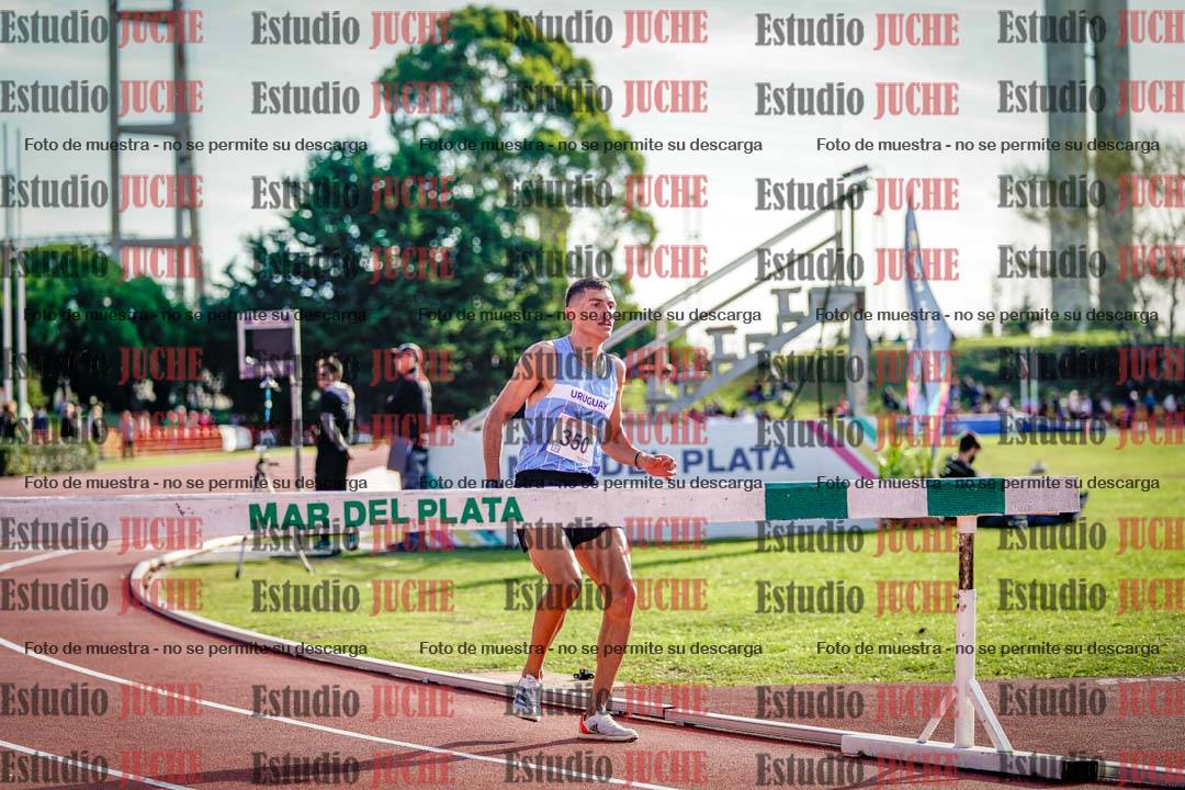 Fotos de los 3000 m con obstáculos de varones