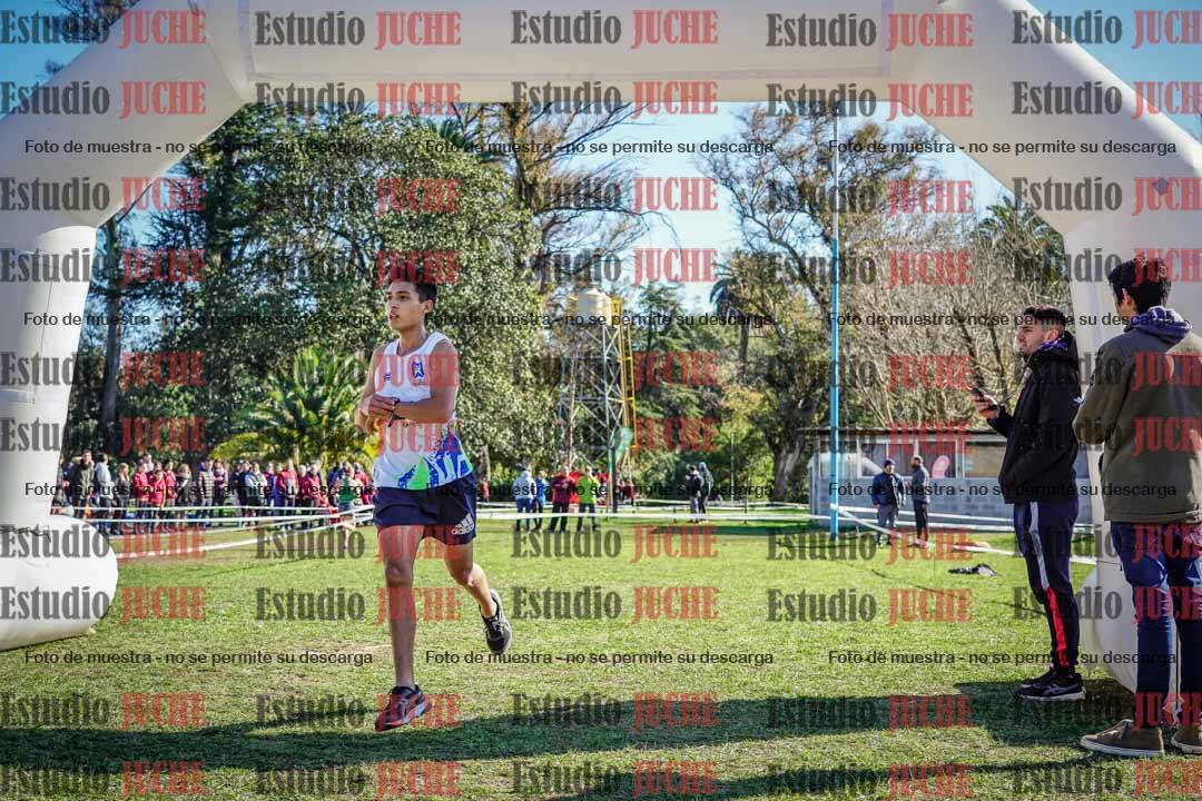 Fotos de la llegada del cross de 6000 m