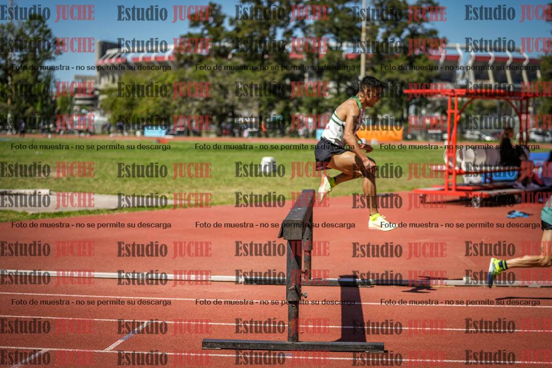 Fotos de los 3000 m con obstáculos de varones