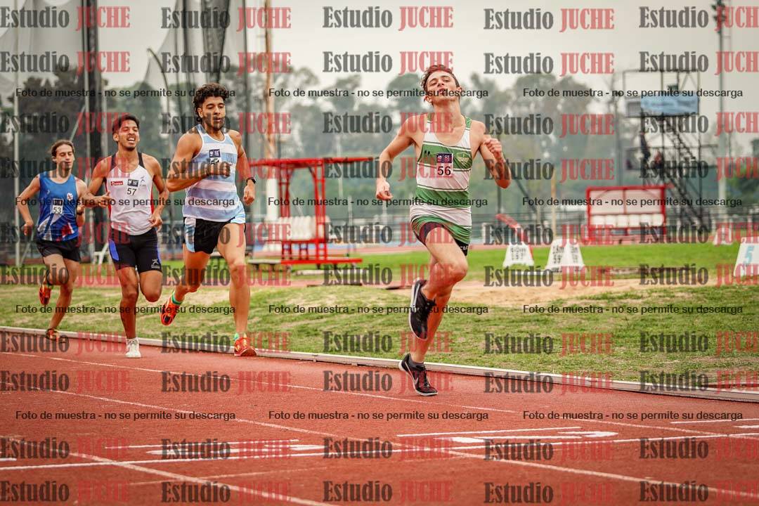 Fotos de los 800 m llanos de varones