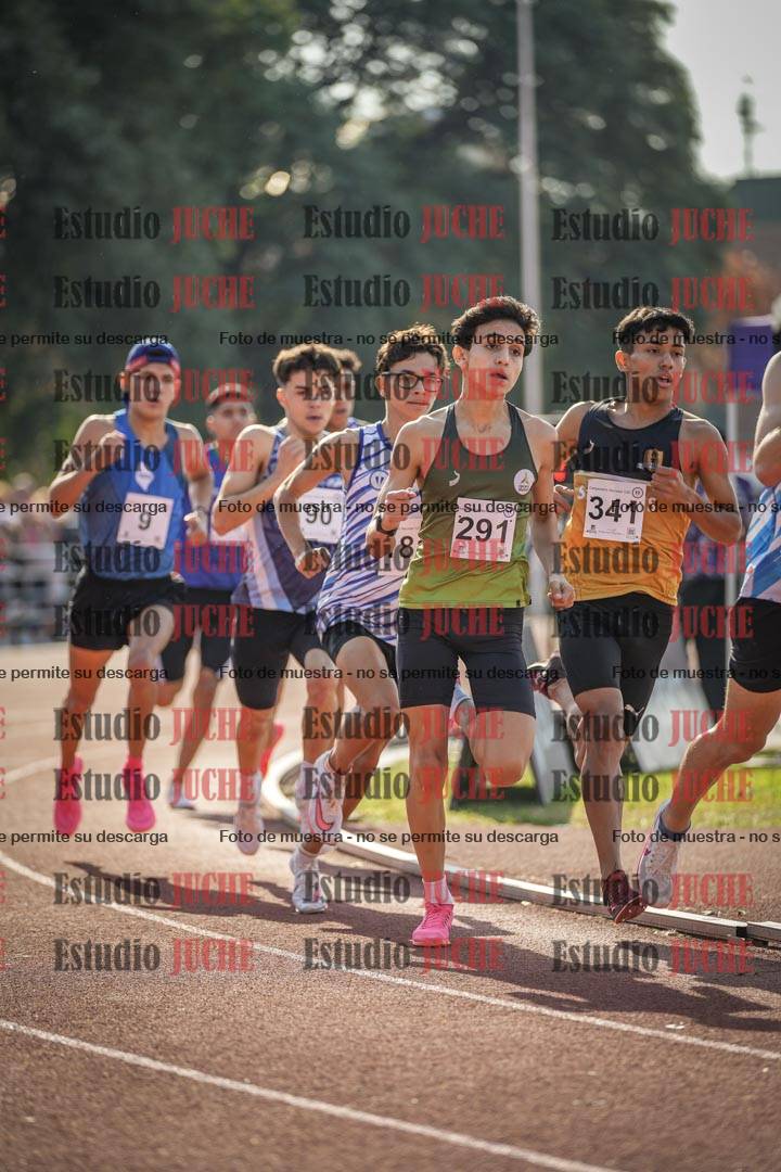 Fotos de los 800 m llanos de varones