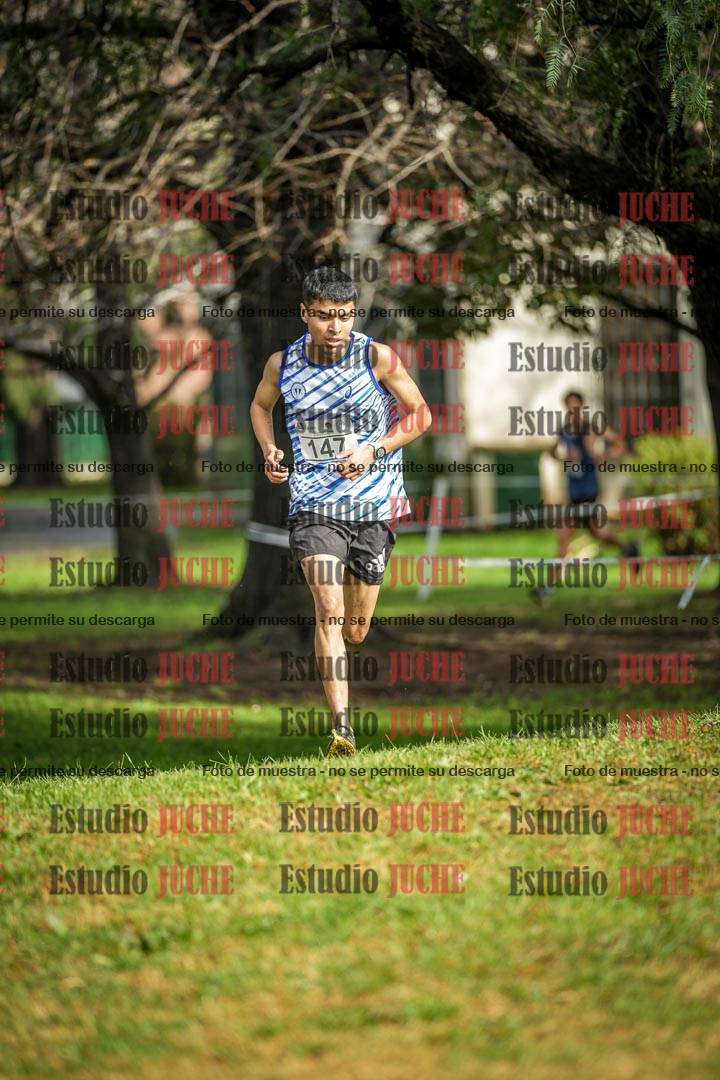 Fotos en el circuito