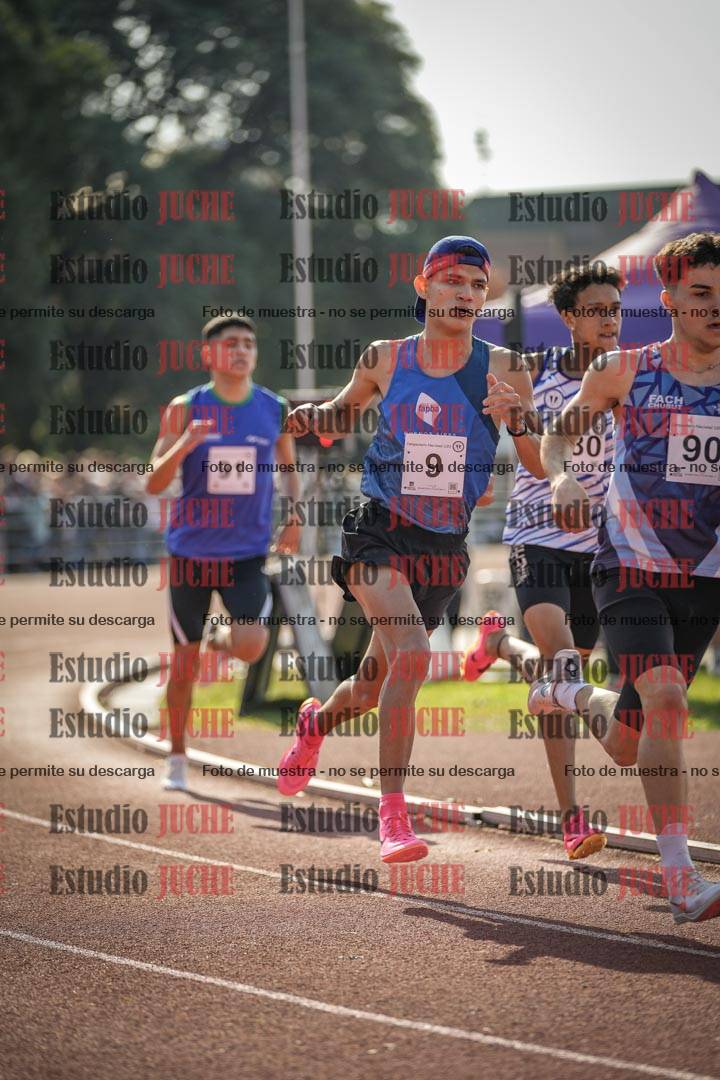 Fotos de los 800 m llanos de varones