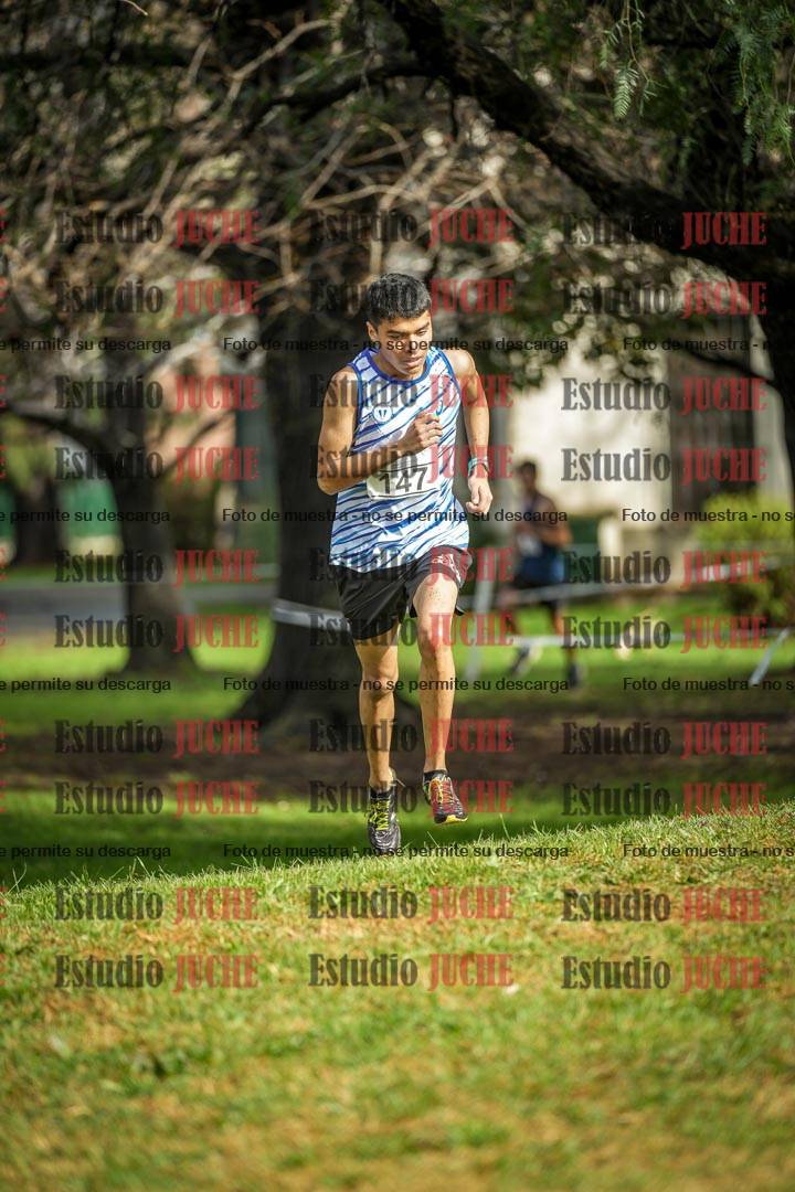 Fotos en el circuito
