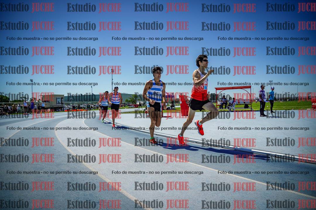 Fotos de los 800 m llanos de varones