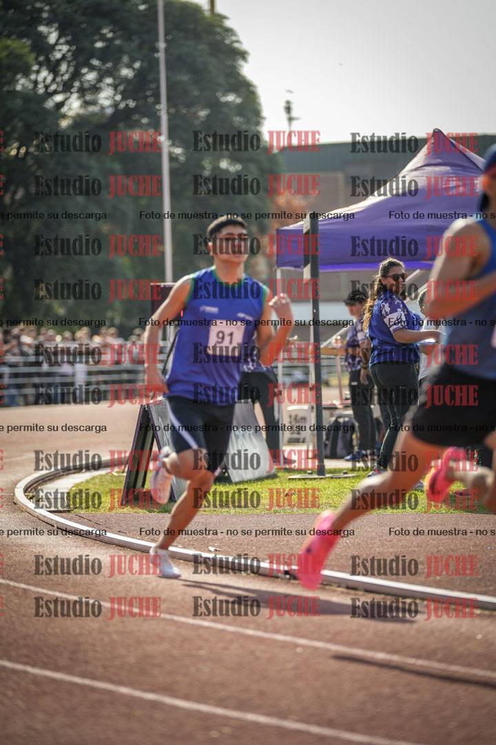 Fotos de los 800 m llanos de varones