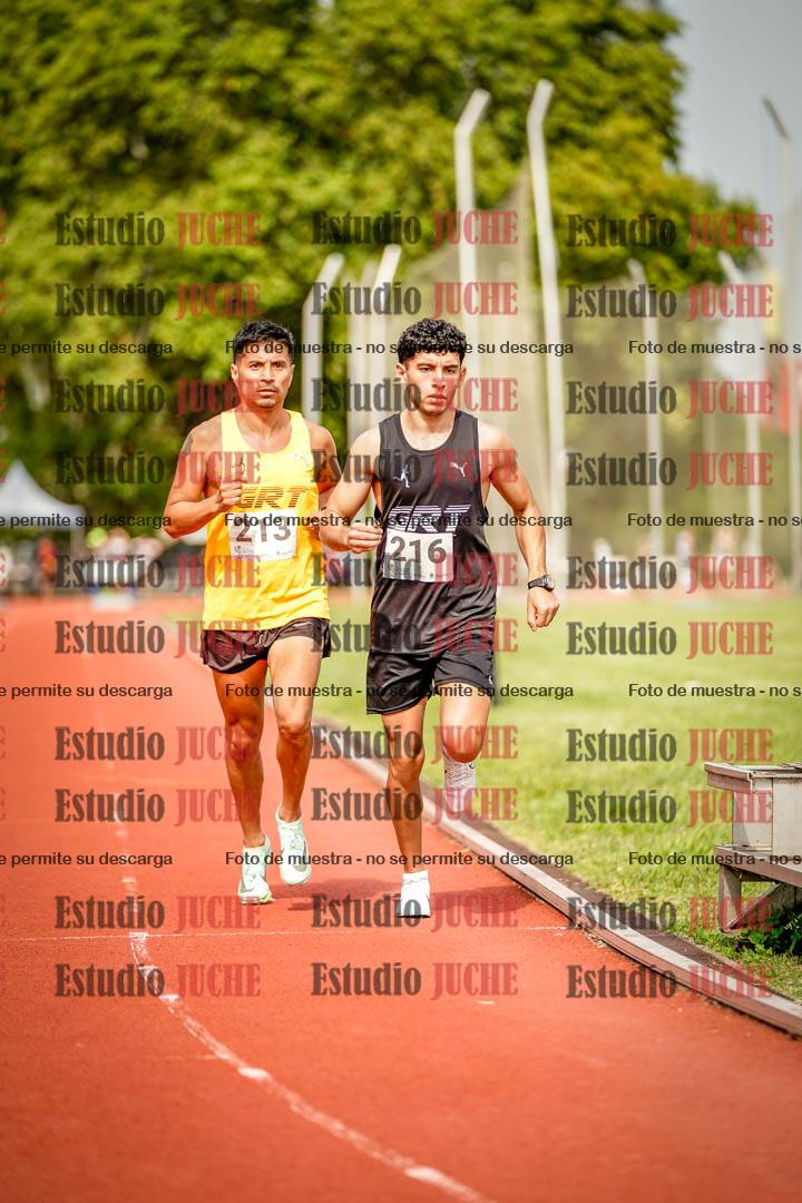 Fotos de los 3000 m llanos de varones