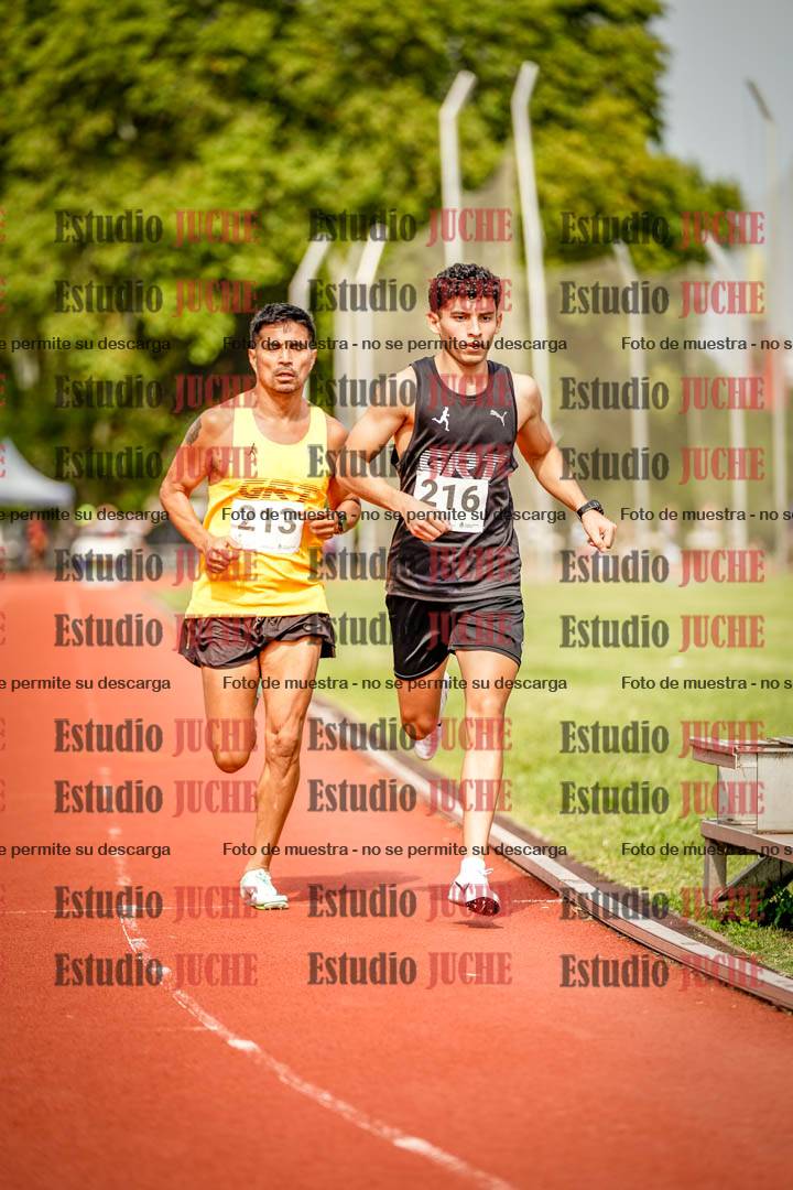 Fotos de los 3000 m llanos de varones