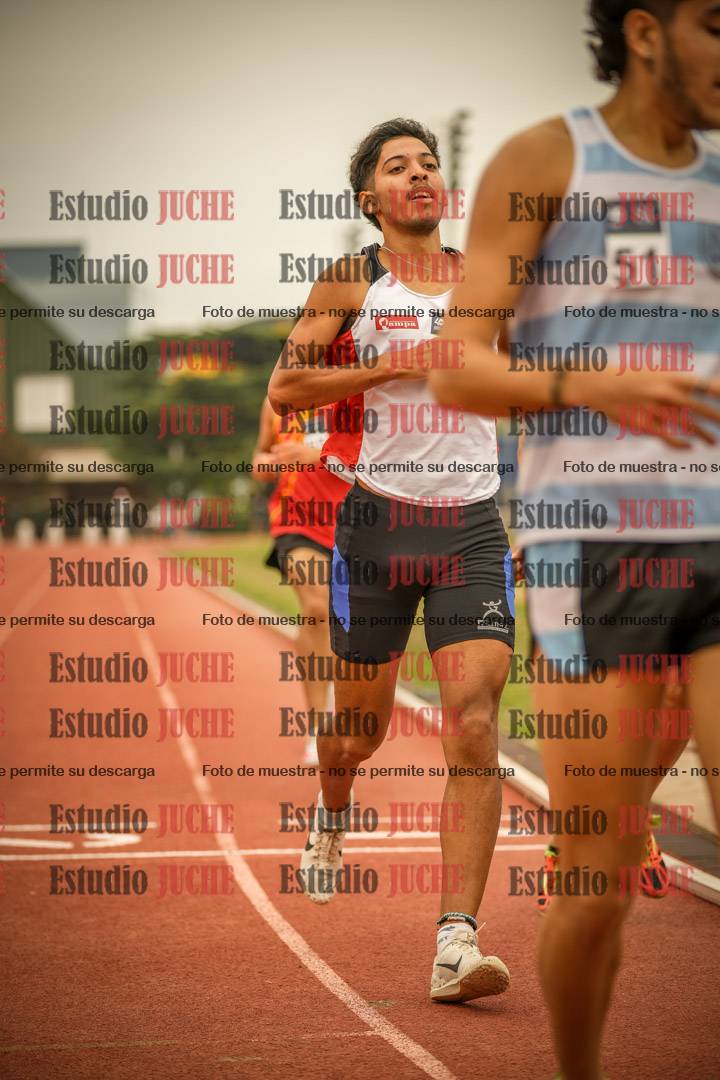 Fotos de los 800 m llanos de varones