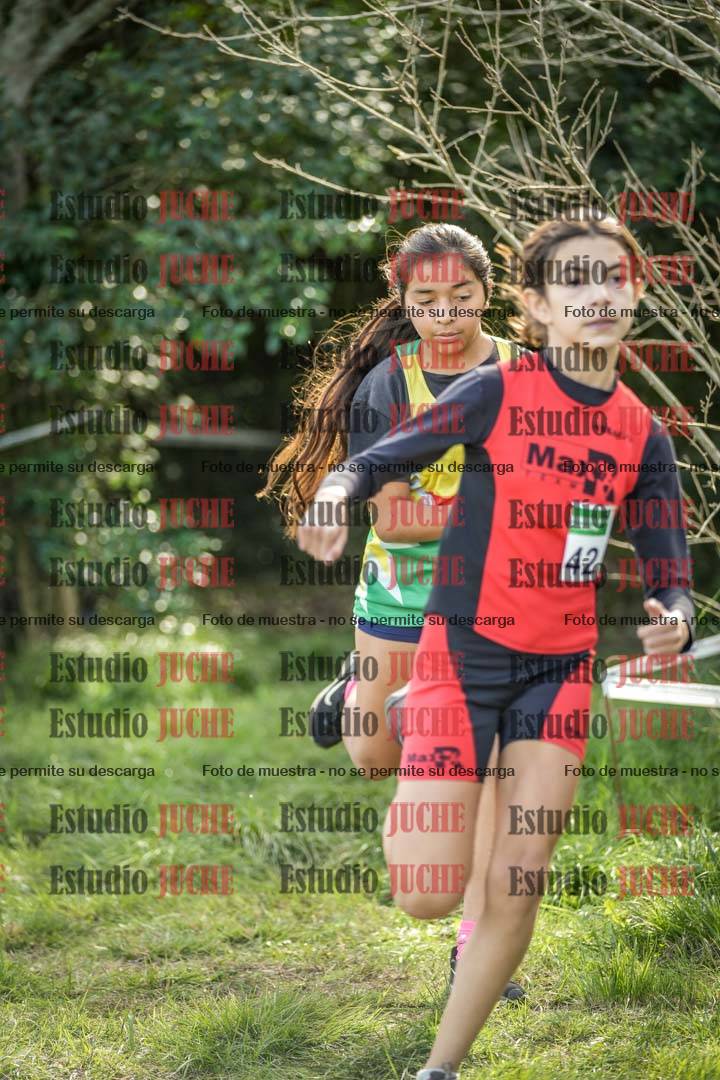 Fotos en el circuito