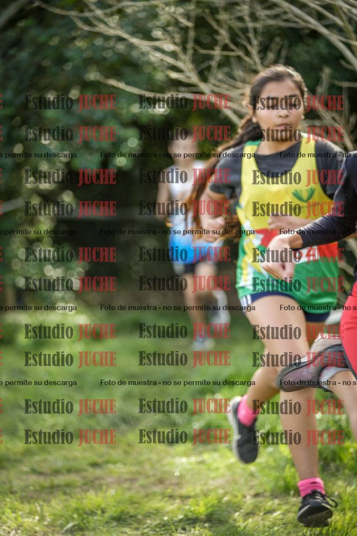 Fotos en el circuito