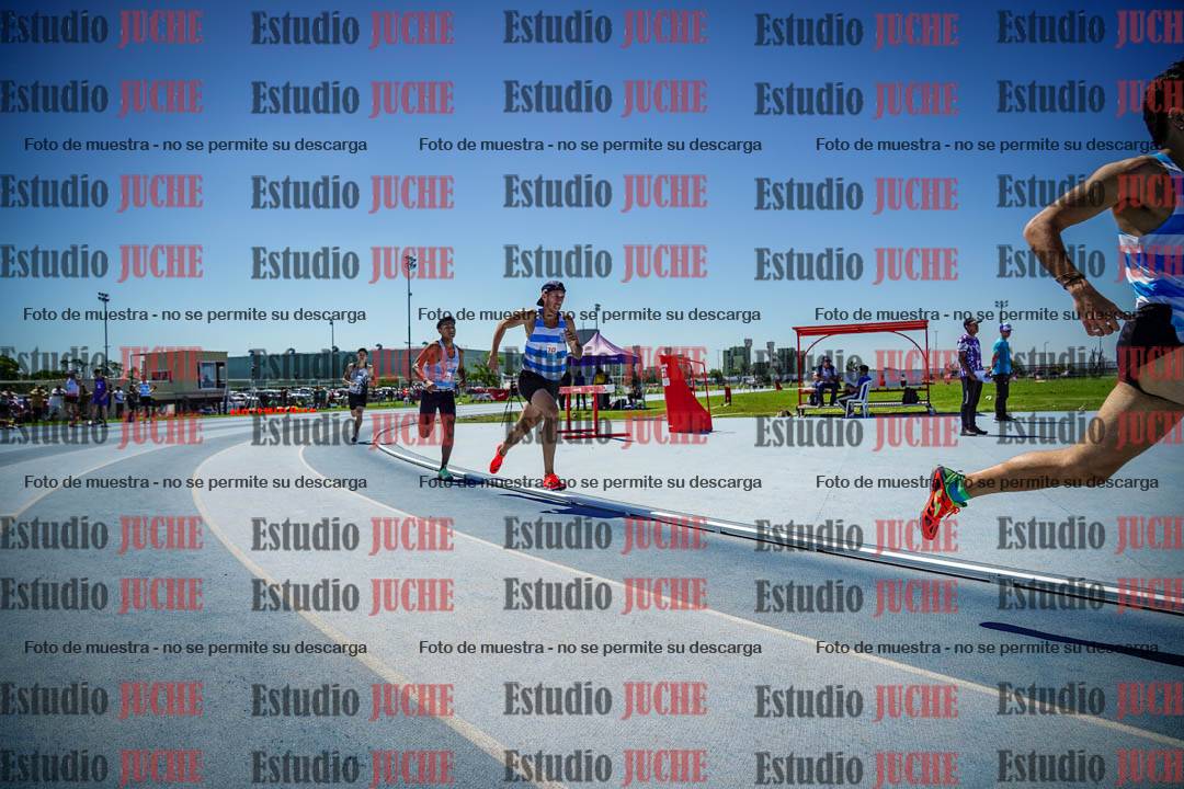 Fotos de los 800 m llanos de varones