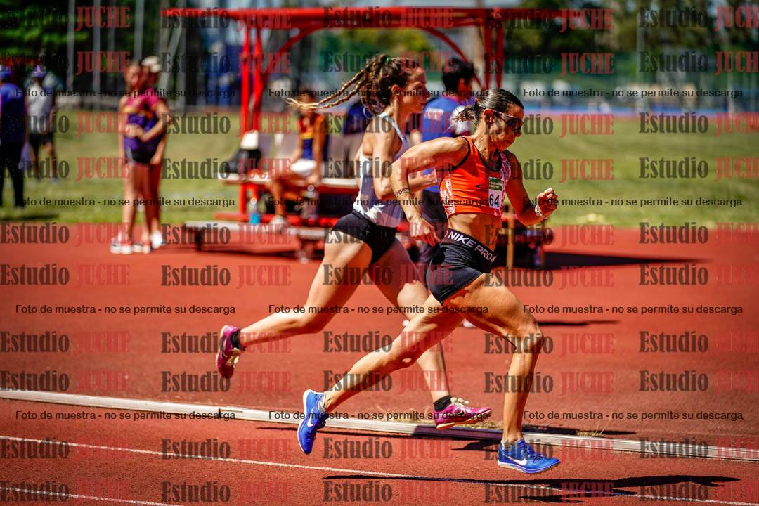 Fotos de los 800 m llanos de mujeres