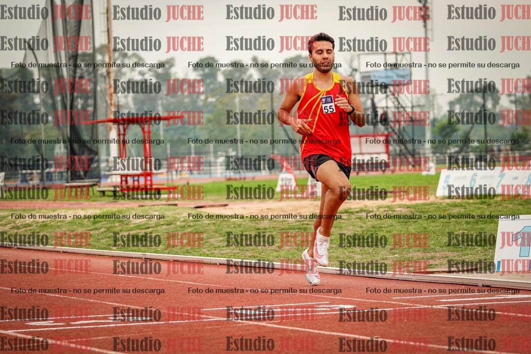 Fotos de los 800 m llanos de varones