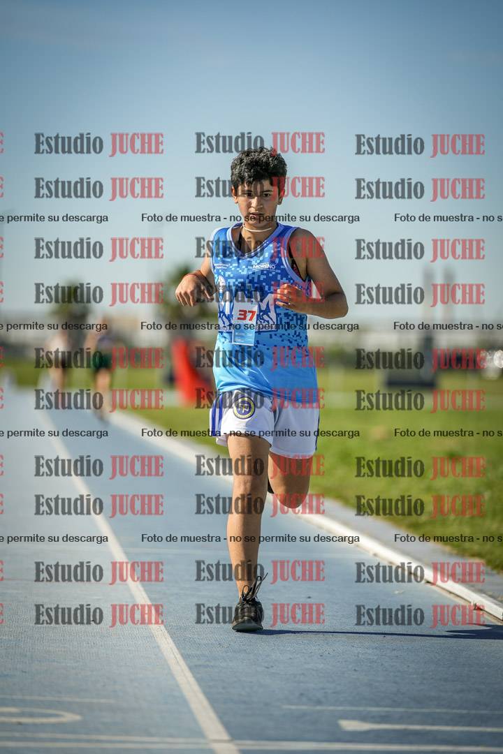 Fotos de los 1500 m llanos de mujeres
