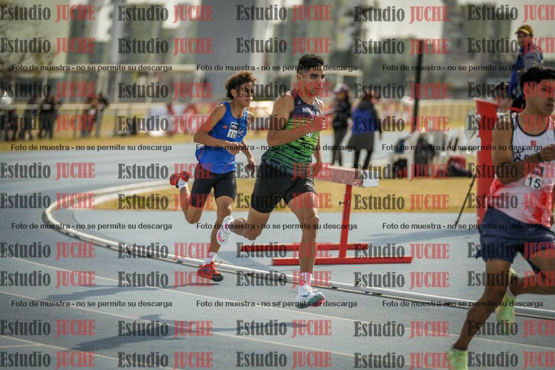 Fotos de los 800 m llanos de varones