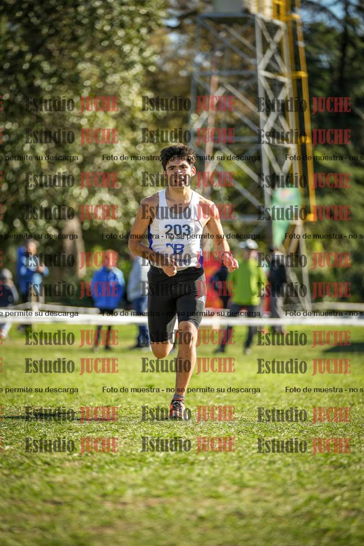 Fotos de la llegada del cross de 6000 m