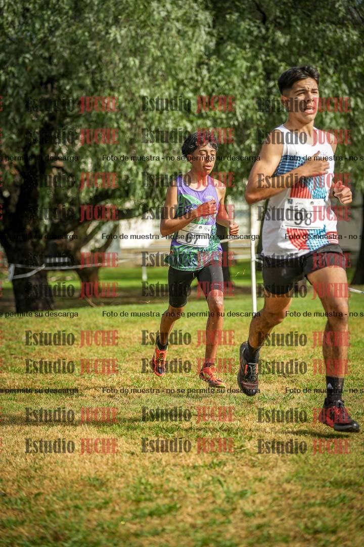 Fotos en el circuito
