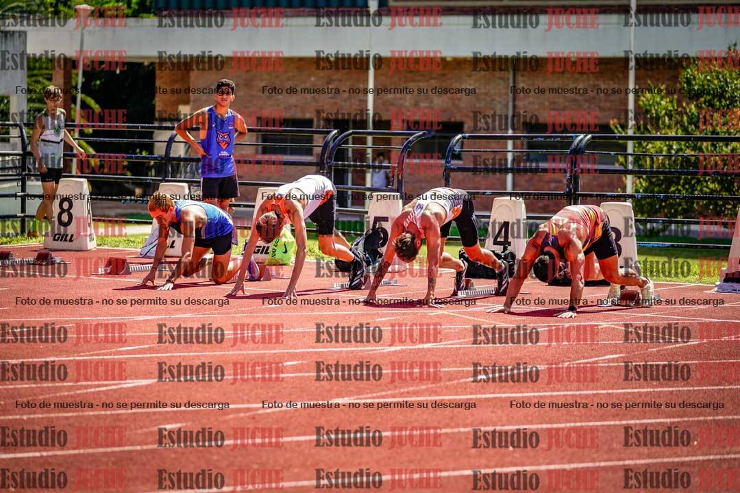Fotos de los 110 m con vallas de varones
