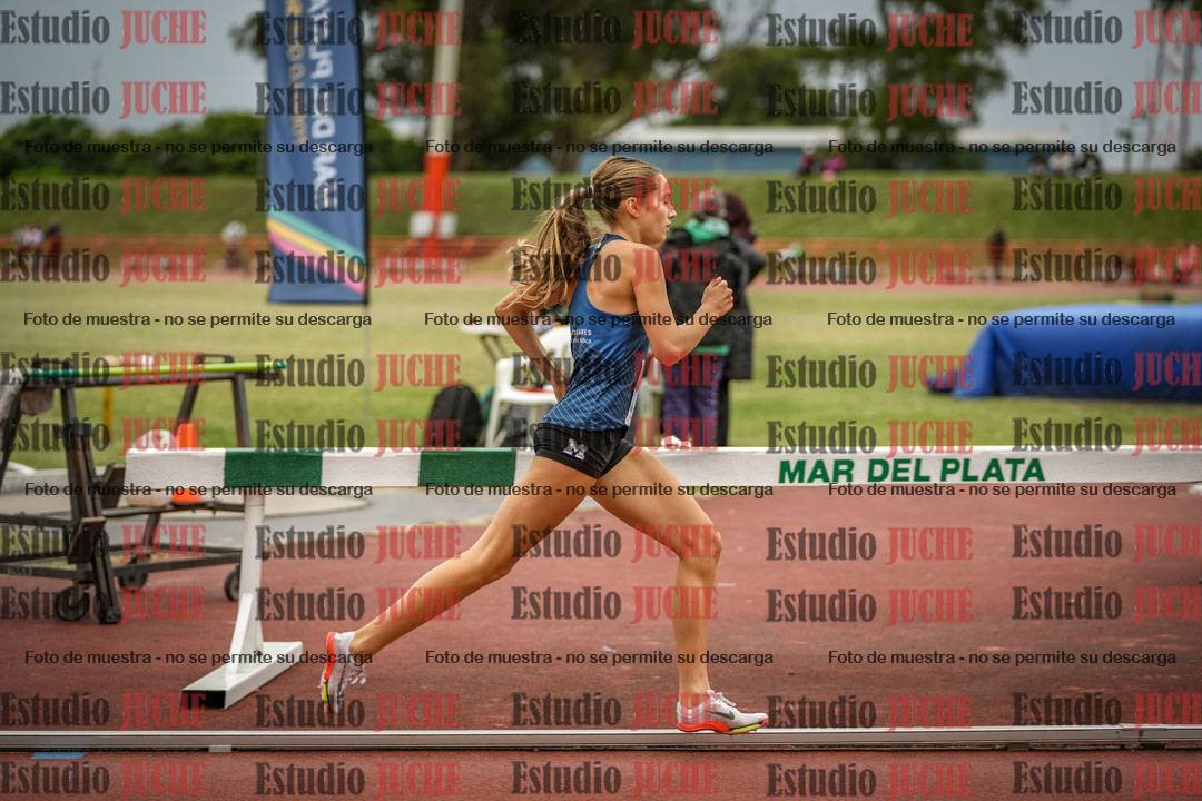 Fotos de los 1500 m llanos de mujeres