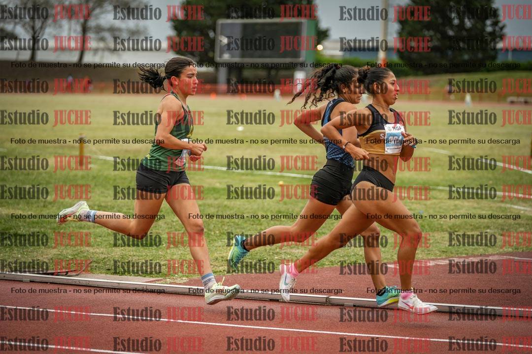 Fotos de los 1500 m llanos de mujeres
