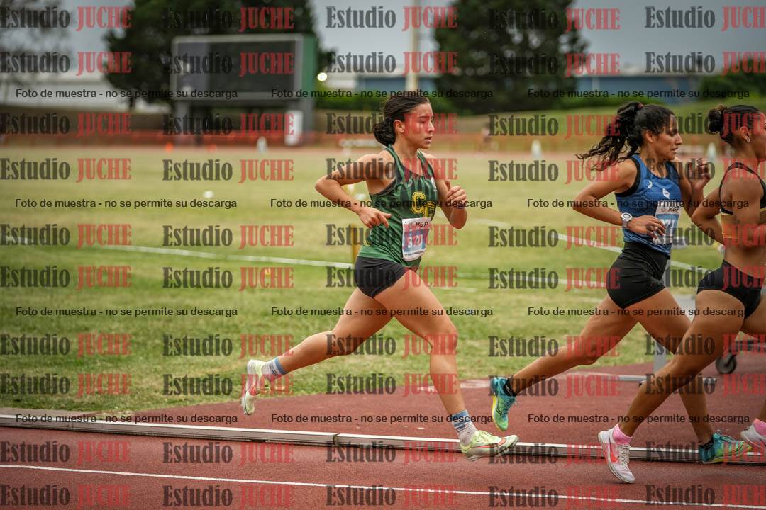 Fotos de los 1500 m llanos de mujeres