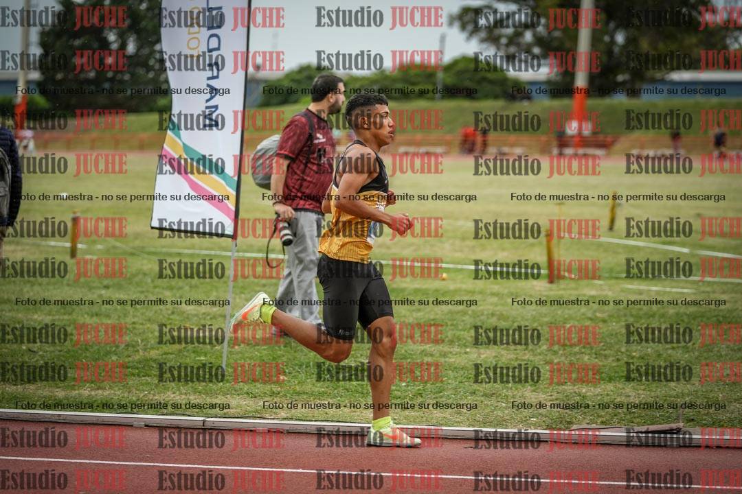 Fotos de los 1500 m llanos de varones