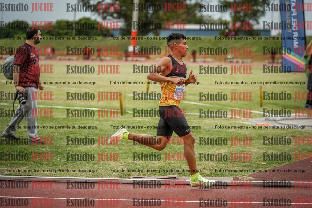 Fotos de los 1500 m llanos de varones
