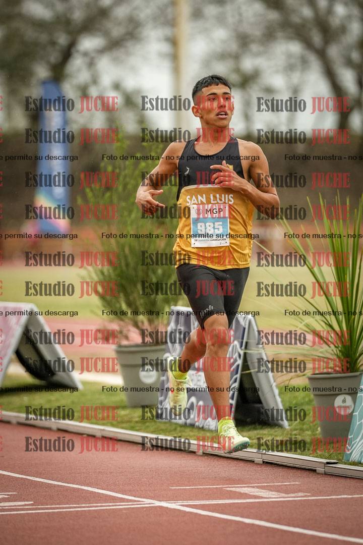 Fotos de los 1500 m llanos de varones
