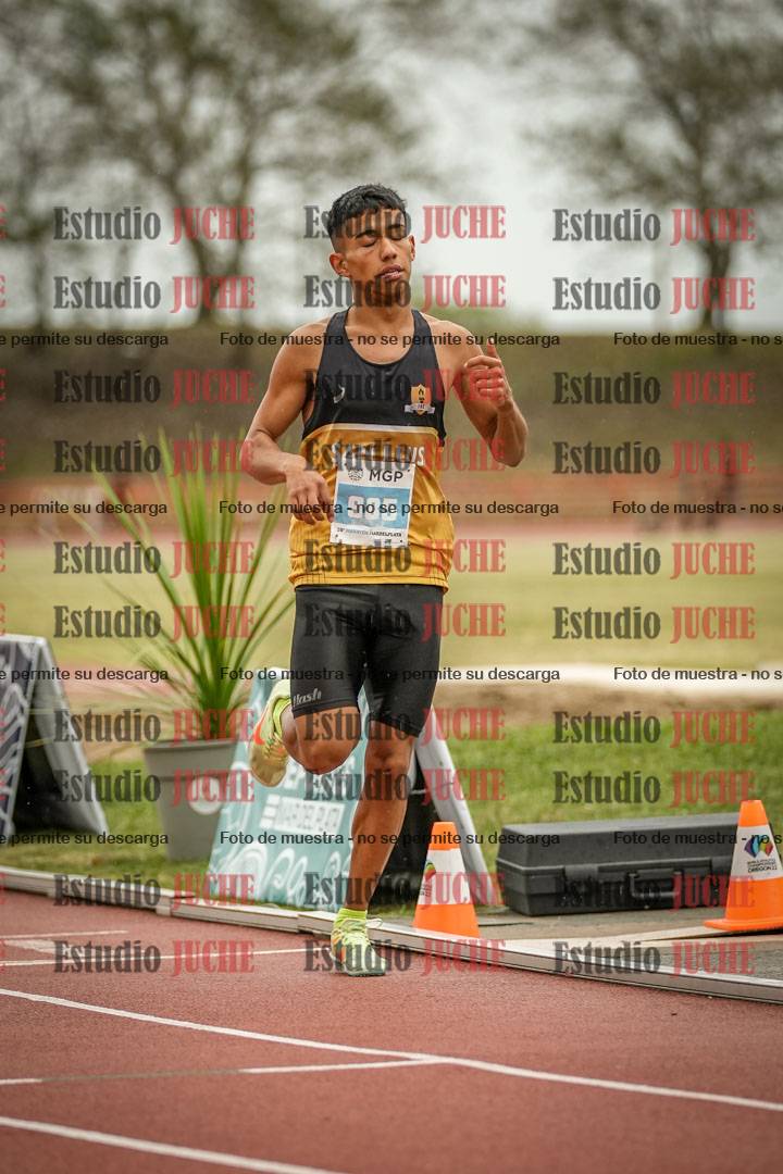 Fotos de los 1500 m llanos de varones