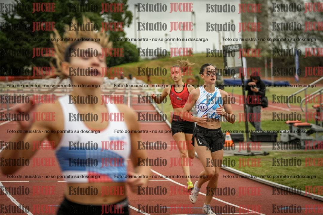 Fotos de los 100 m con vallas de mujeres - FINAL