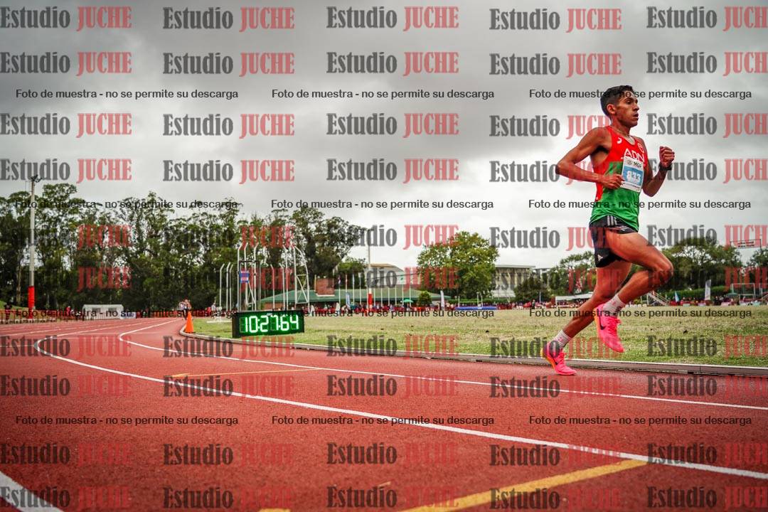 Fotos de los 10.000 m llanos de varones