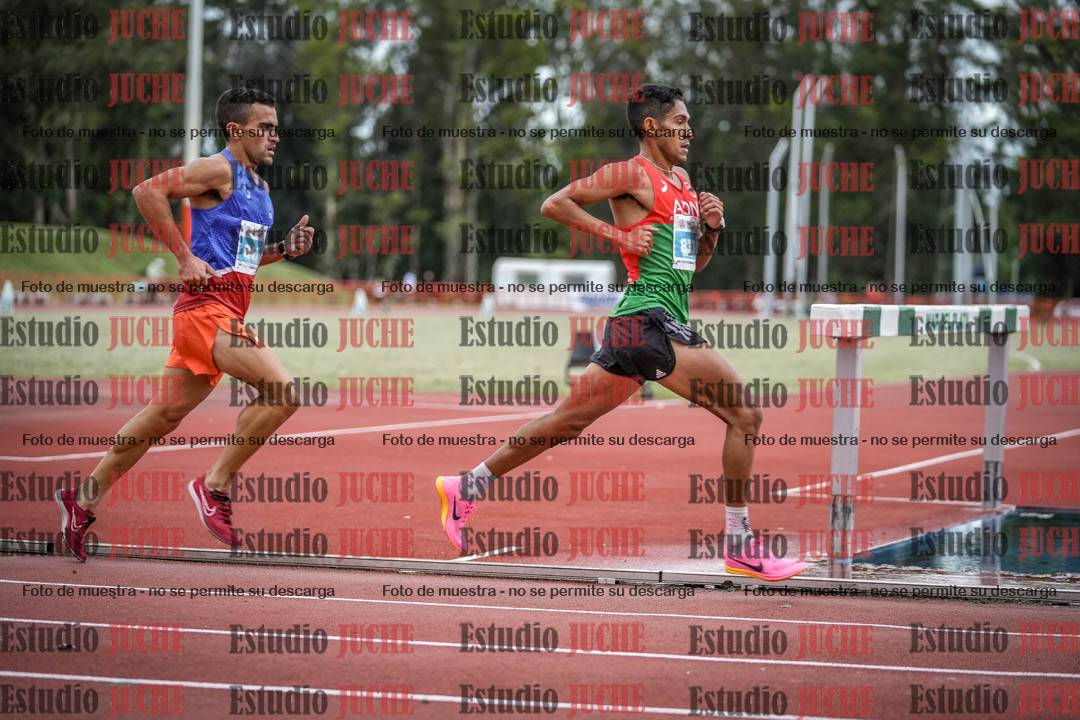Fotos de los 10.000 m llanos de varones