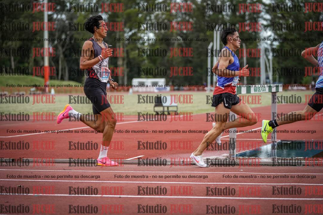 Fotos de los 10.000 m llanos de varones