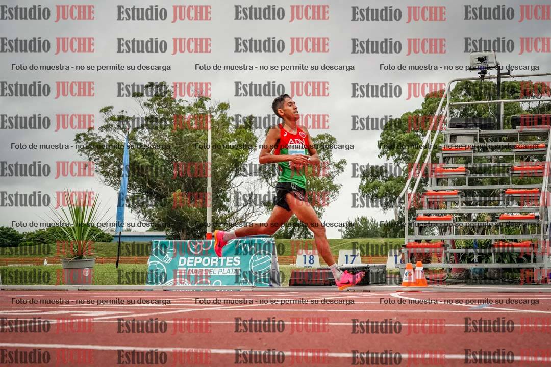 Fotos de los 10.000 m llanos de varones