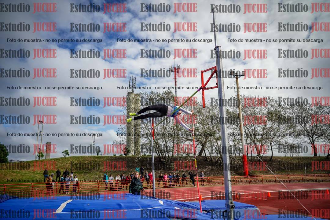 Fotos del salto con garrocha de mujeres