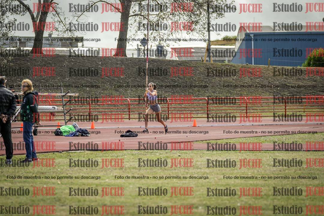 Fotos del salto con garrocha de mujeres