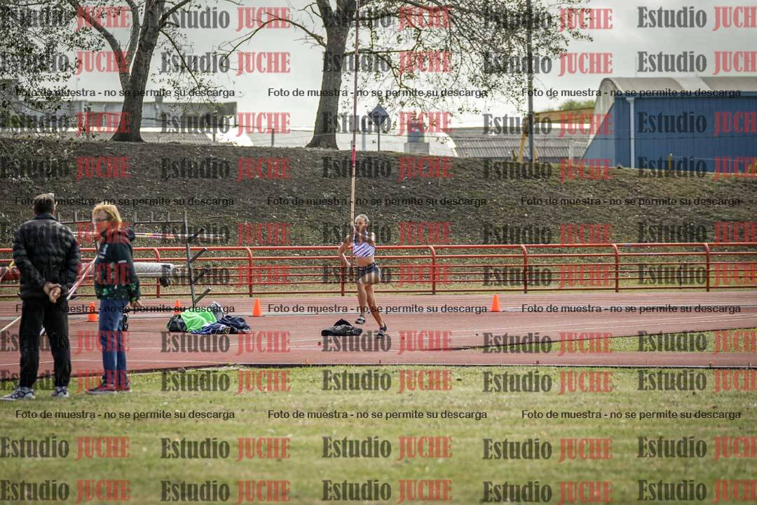 Fotos del salto con garrocha de mujeres