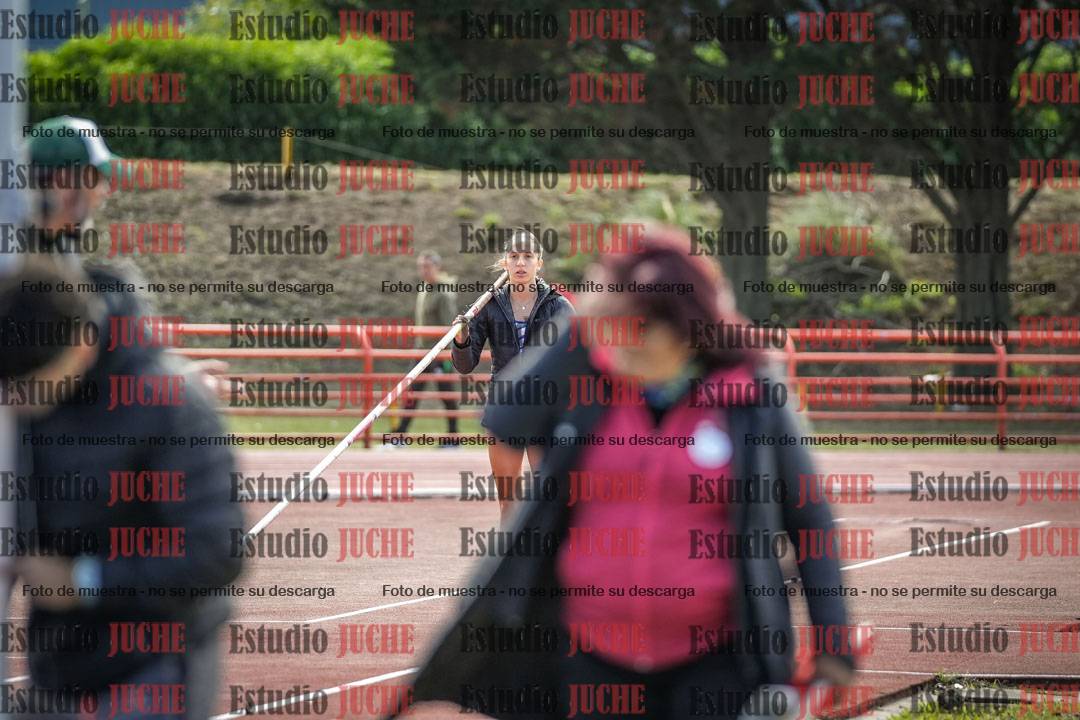 Fotos del salto con garrocha de mujeres