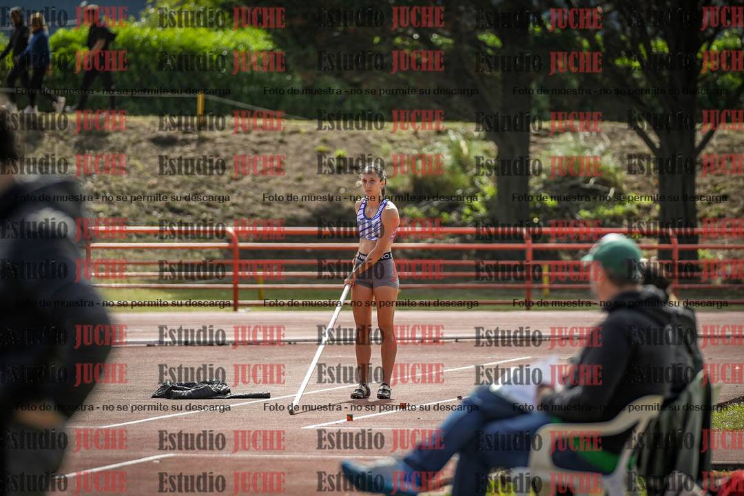 Fotos del salto con garrocha de mujeres