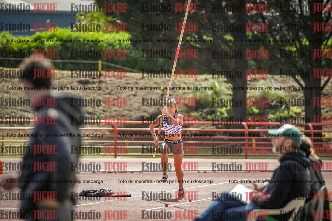 Fotos del salto con garrocha de mujeres